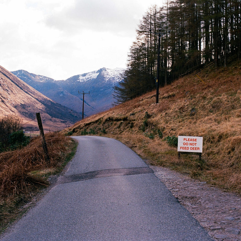 Jorum Journal Issue 5 from Jorum Studio Perfume