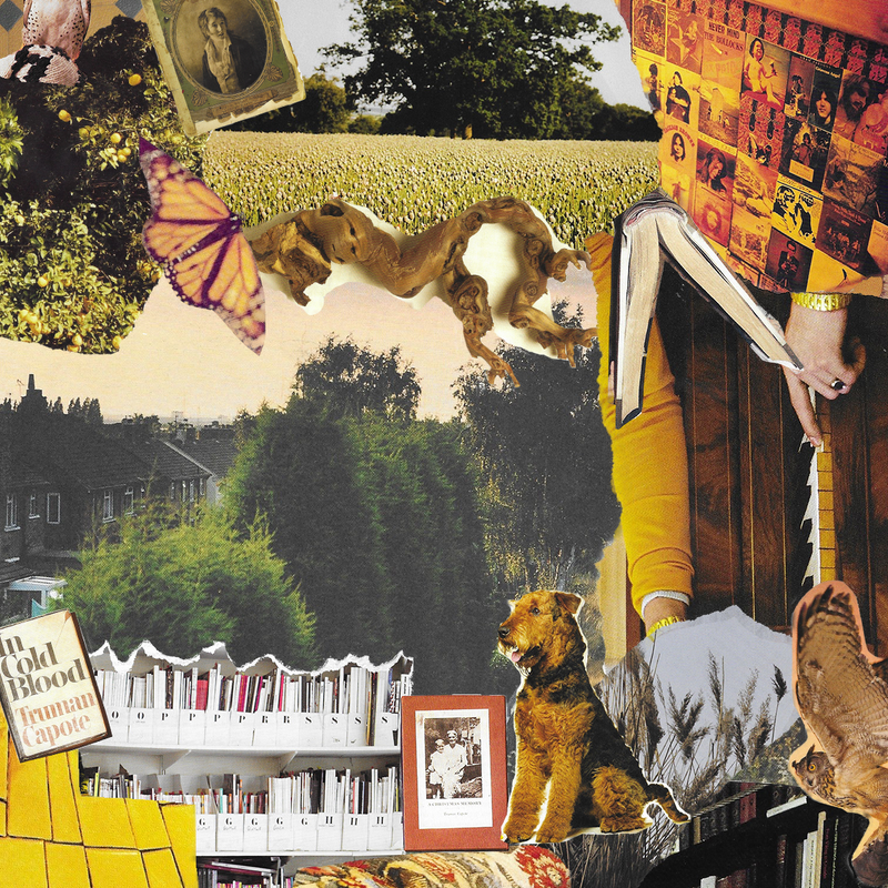 Athenaeum collage by Jorum Studio featuring books and elements of the scottish countryside