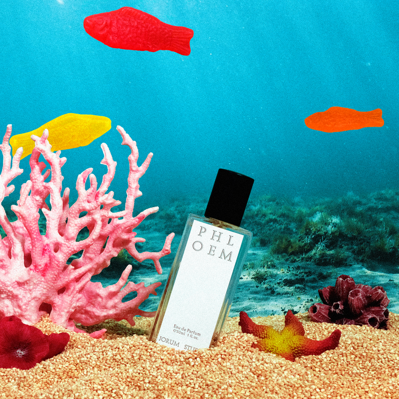 Phloem Perfume Jorum Studio