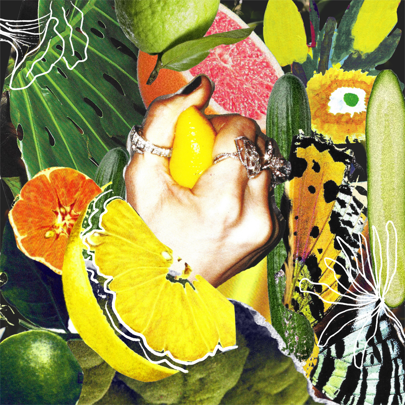 Paradisi: A Visual Journey