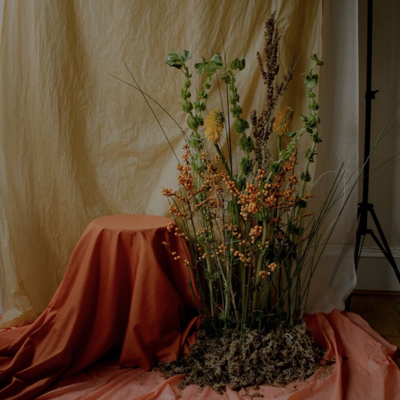 Floral arrangement by Flowers Vermilion