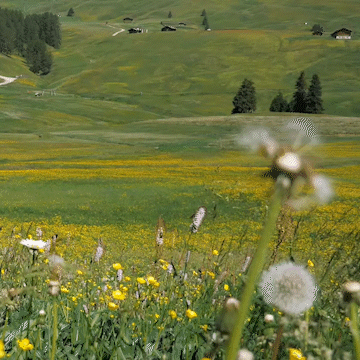 Jorum Studio Bloomcore Floral Perfume