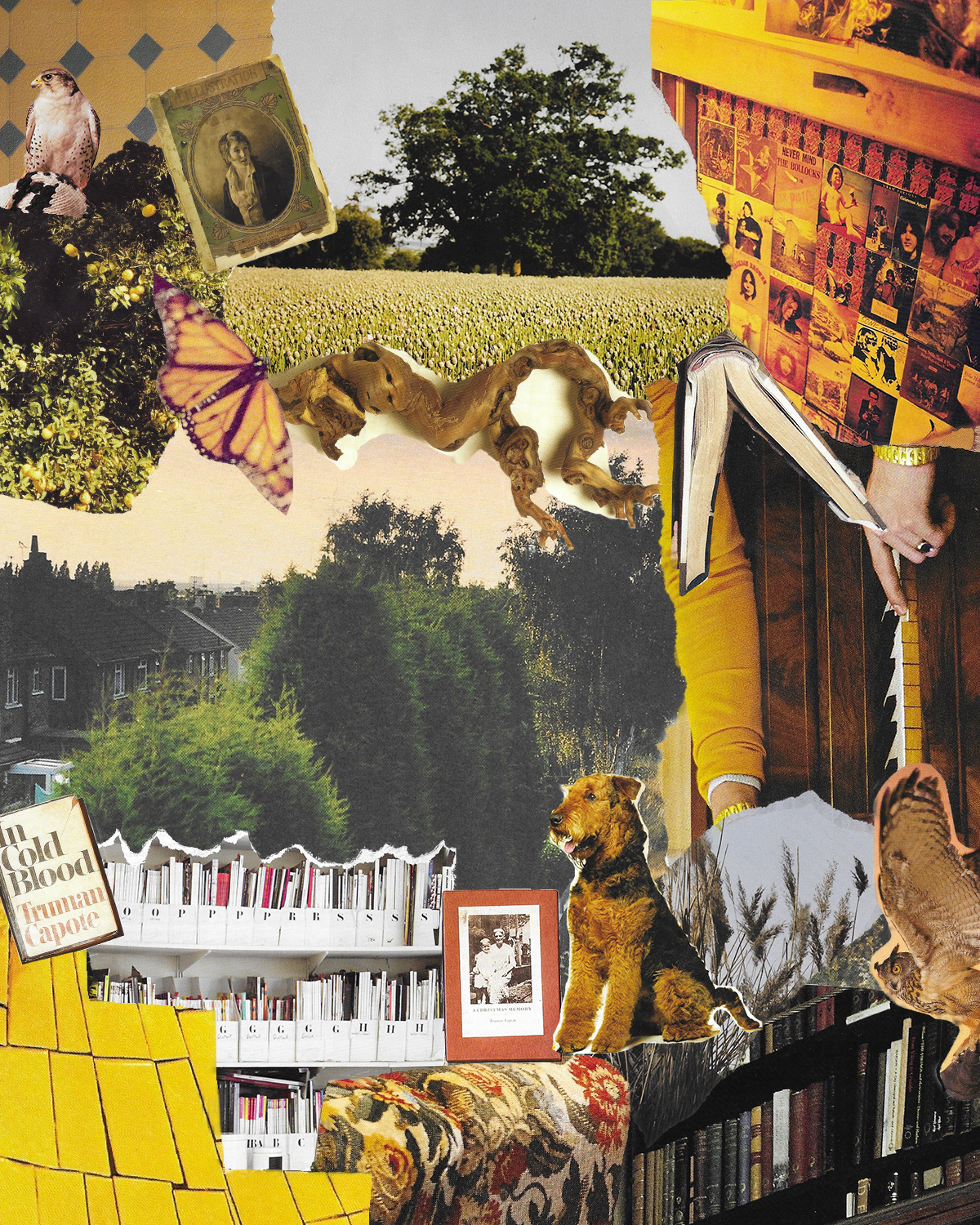Athenaeum collage by Jorum Studio featuring books and elements of the scottish countryside
