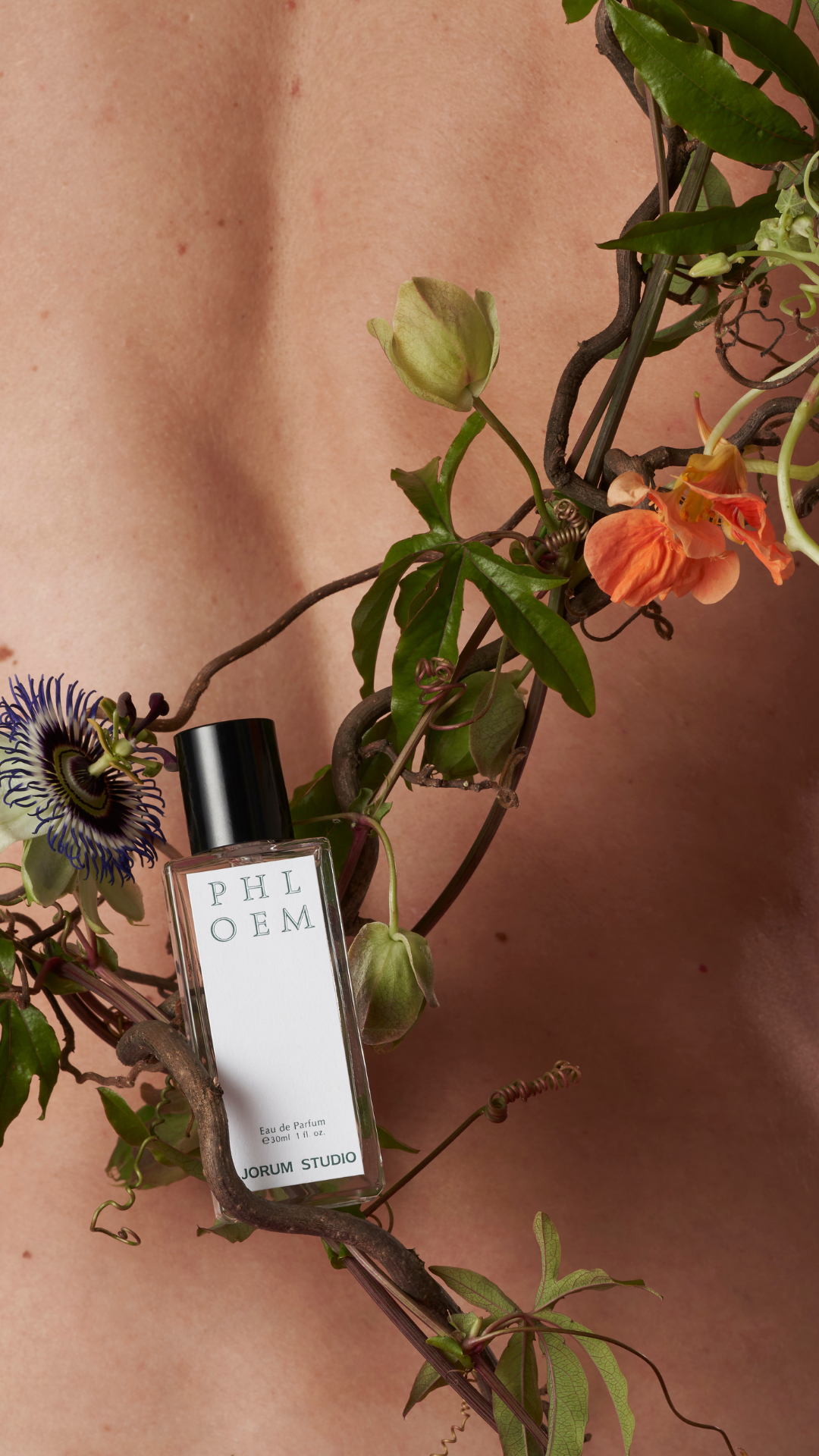 Fragrance Focus: Phloem