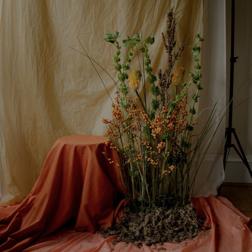 Floral arrangement by Flowers Vermilion