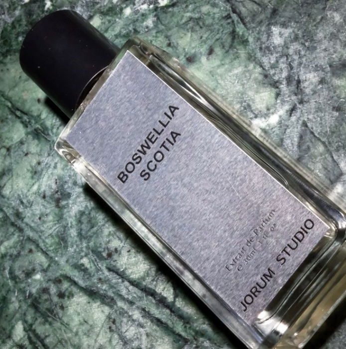 TIME Autumn 2024: Boswellia Scotia