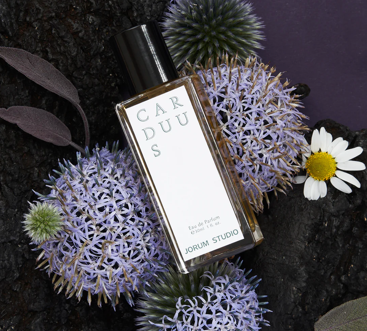 Jorum Studio Carduus Eau de Parfum against some purple flowers