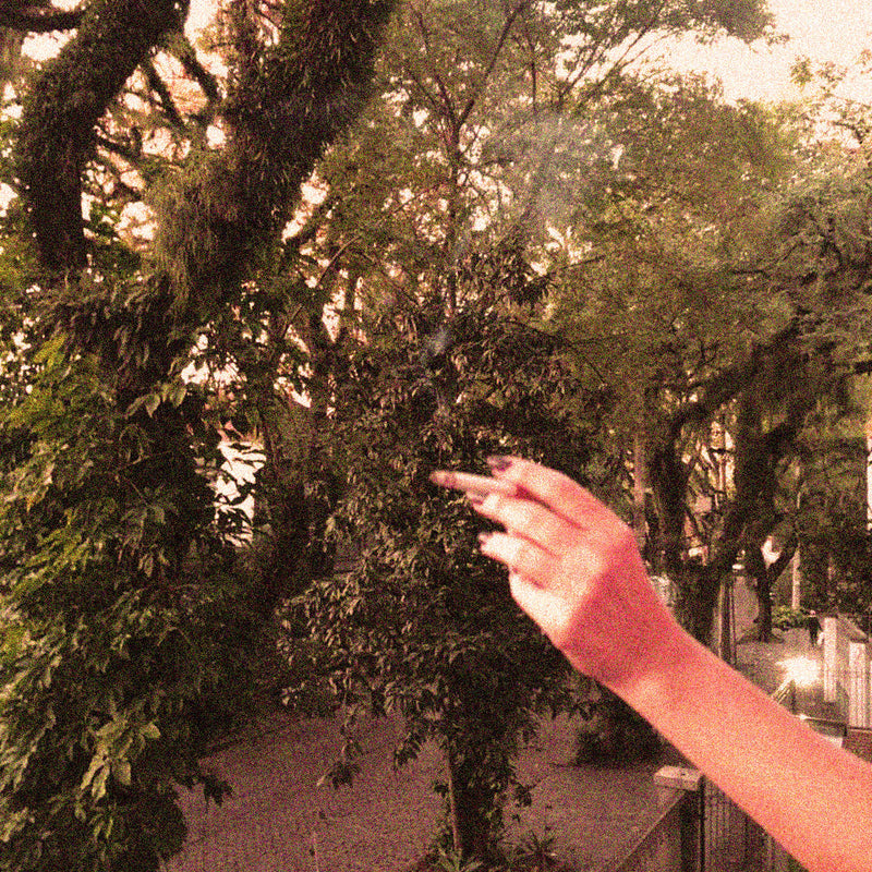 Fragrance Focus: Pentimento