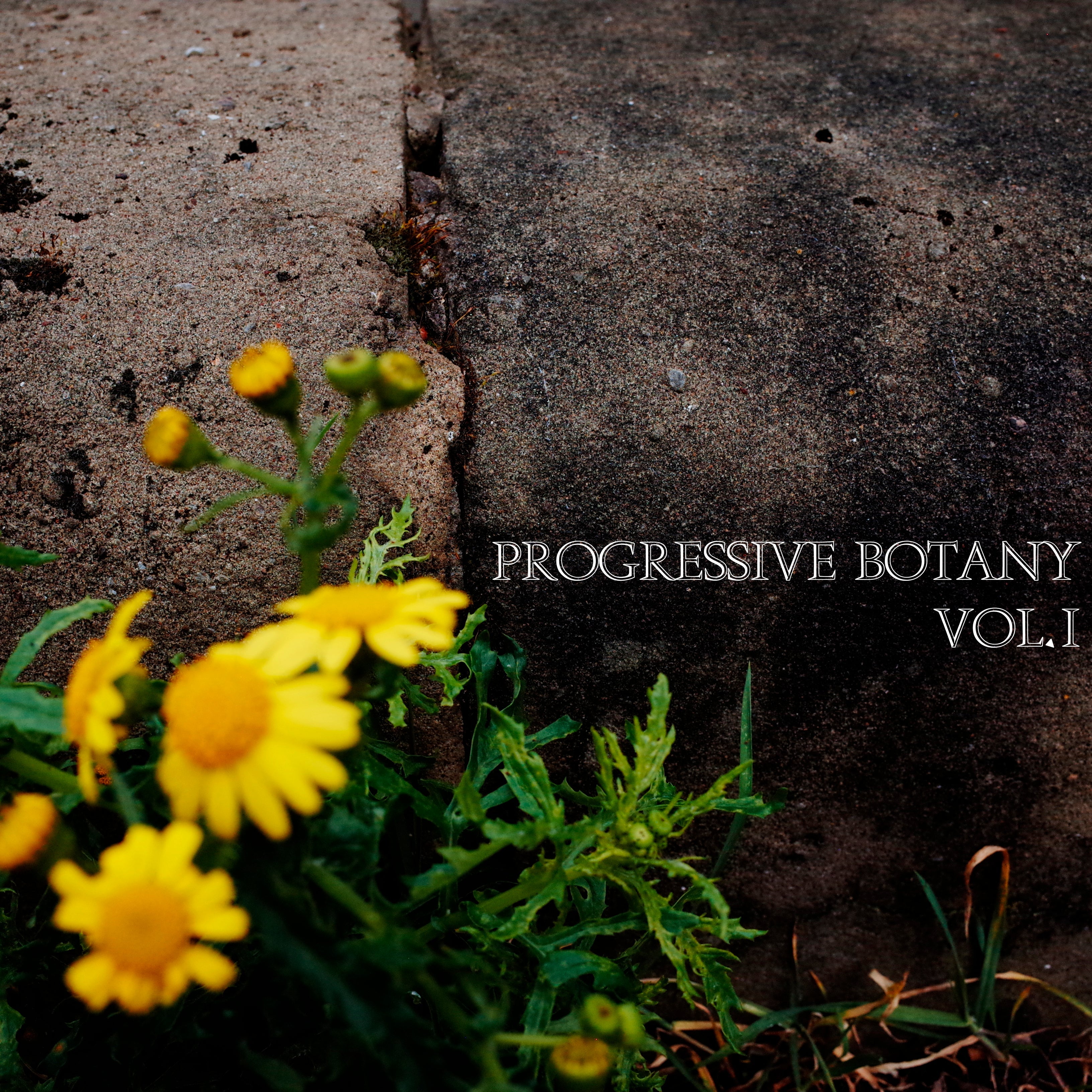 Jorum Studio Progressive Botany Vol. I image with yellow flowers 