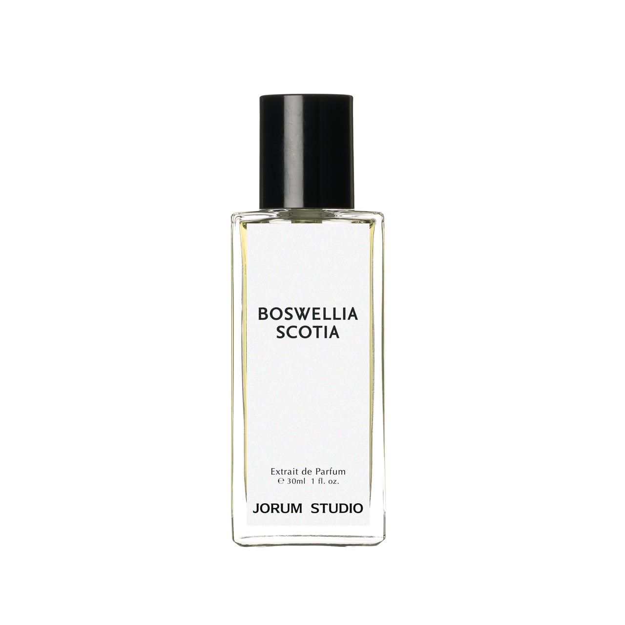 Boswellia Scotia