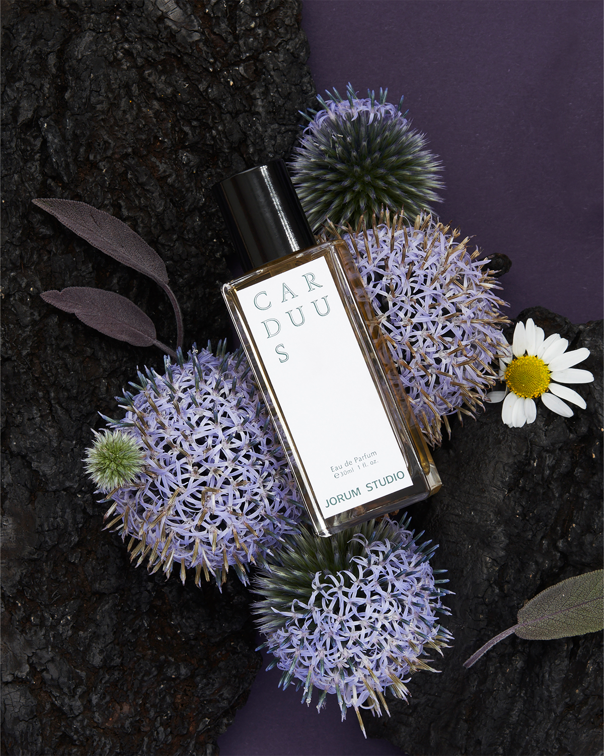 Jorum Studio Carduus perfume bottle arranged in a still-life with wood bark, purple alliums and white chamomile flowers