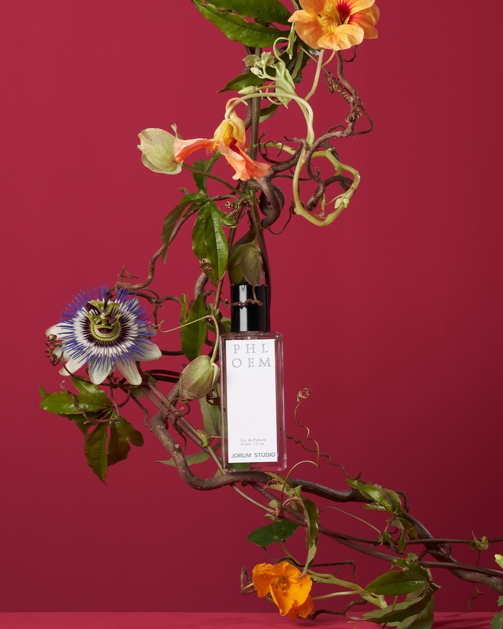 Jorum Studio Phloem perfume bottle arranged in a still-life featuring entangled vines with passionflowers and nasturtiums against a claret background